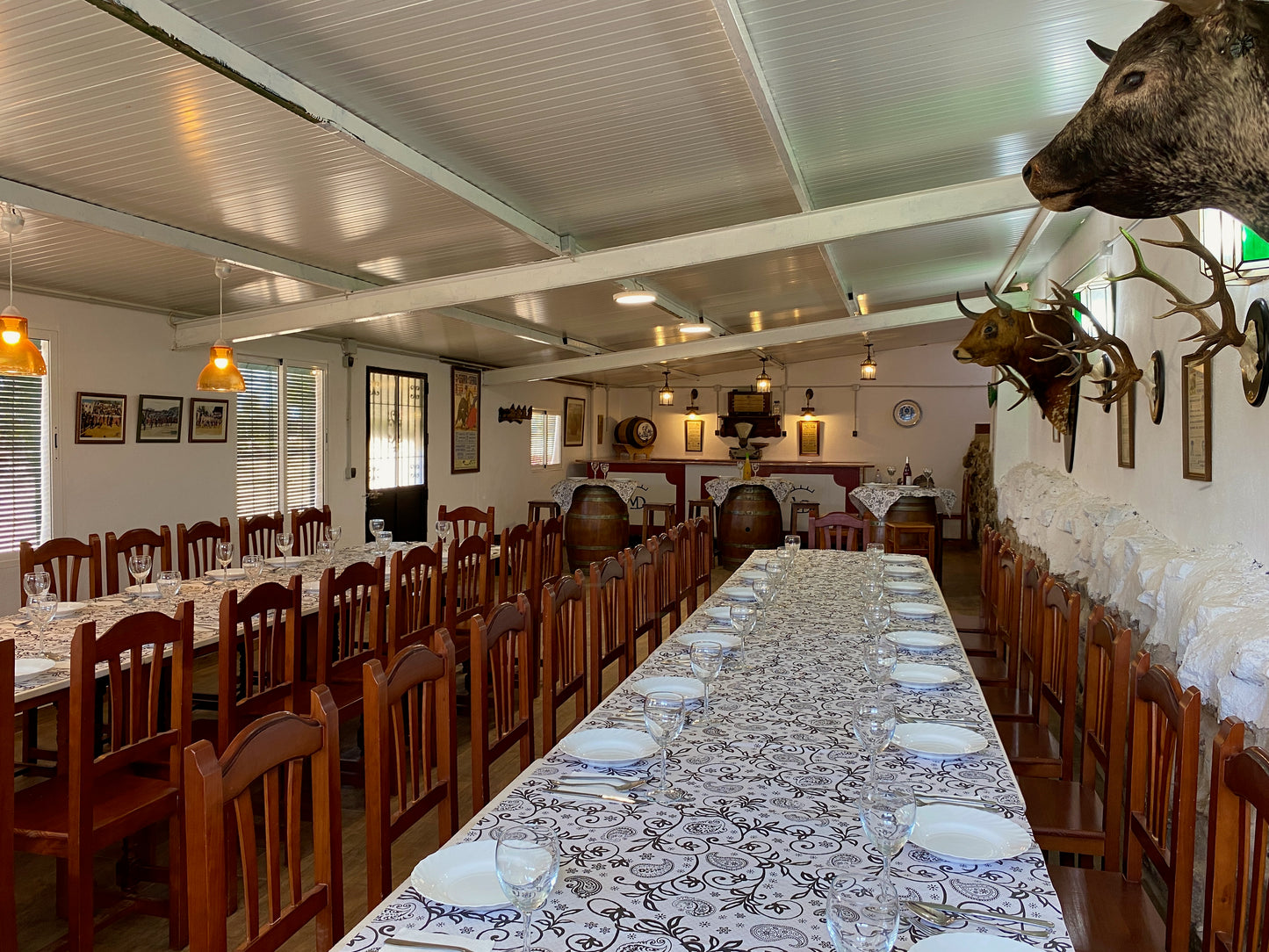 SALÓN CAMPERO