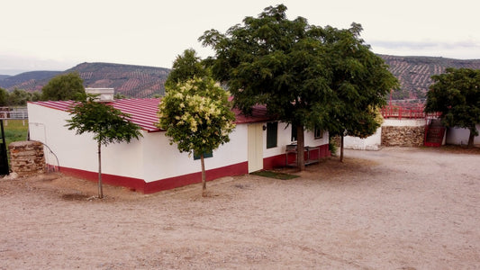 SALÓN CAMPERO