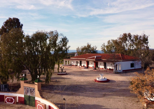 SALÓN DE EVENTOS
